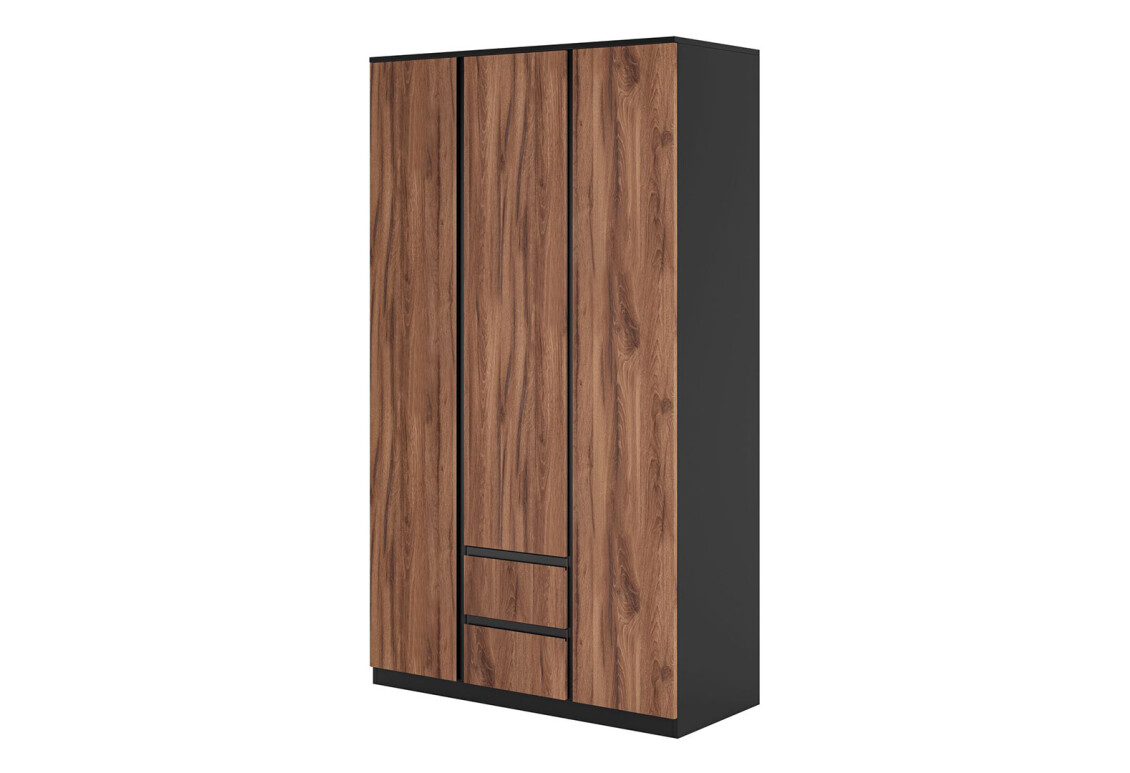 Шафа Фріда тридверна з 2 шухлядами 120 см, чорний / дуб ліворно
